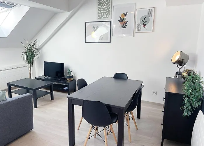 Le Moisson, Centre Ville, Wifi, Netflix Apartment Reims