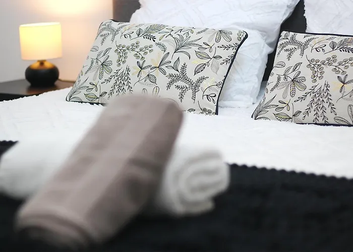 Apartment Le Moisson, Centre Ville, Wifi, Netflix Reims