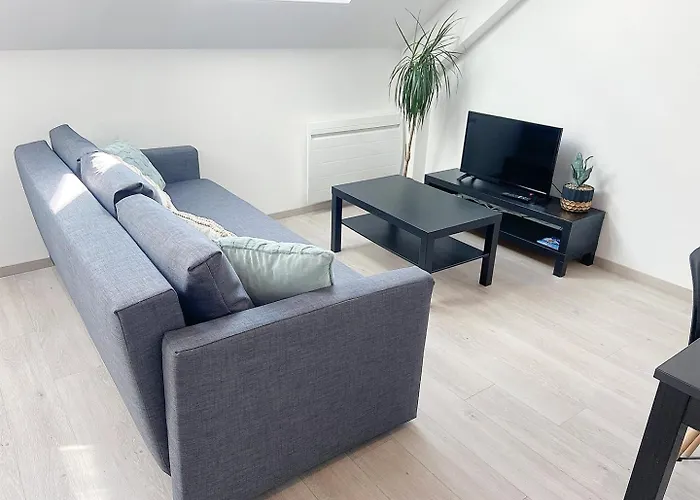 Apartment Le Moisson, Centre Ville, Wifi, Netflix Reims