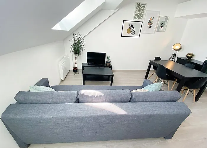 Le Moisson, Centre Ville, Wifi, Netflix Apartment